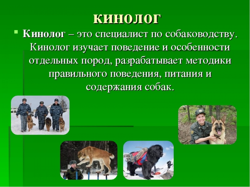 "Все профессии важны"